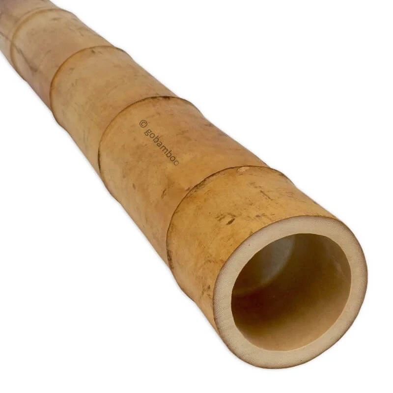 Moso Bambusstange Ø 11-12 cm